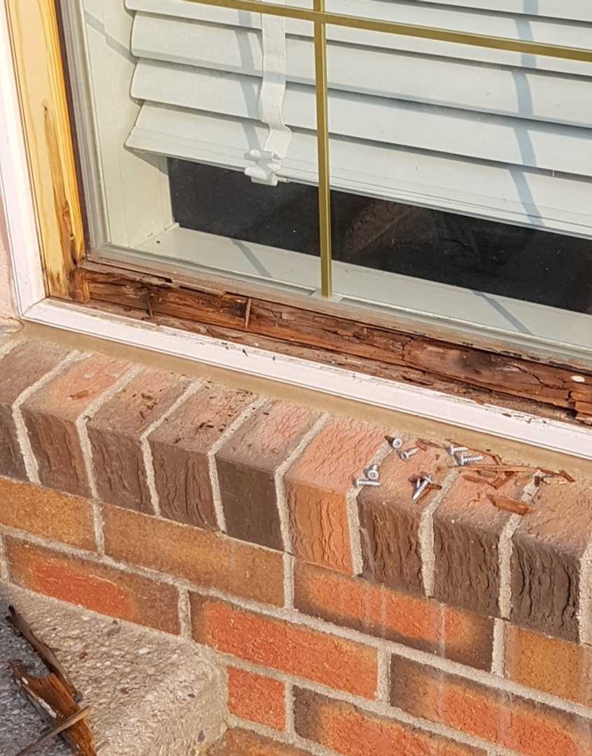 window rot repair calgary